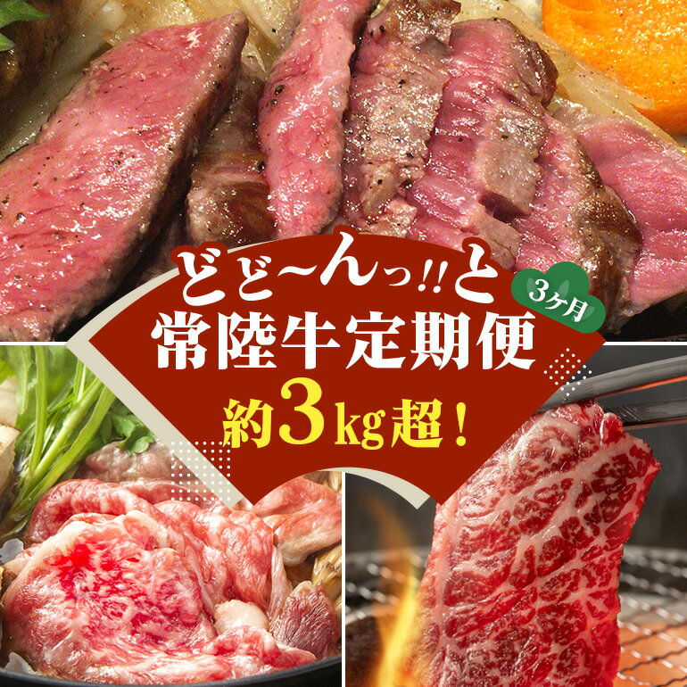 【ふるさと納税】【3ヵ月定期便】 常陸牛 どどーんっ！と定期便 総重量 約3kg超え（茨城県共通返礼品）