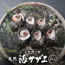 【ふるさと納税】活サザエ1kg（1個100g以上） | 魚介類 水産 食品 人気 おすすめ 送料無料