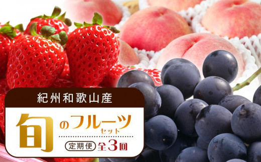 【2・7・9月 全3回】紀州和歌山産旬のフルーツセット（いちご・桃・巨峰）【UT96】