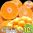 【ふるさと納税】 こだわりの 有田みかん 7.5kg 10kg (3Lサイズ以上) 8000円 10000円 家庭用 光センサー選別 有機質肥料100％ ※12月初旬～1月中旬に順次発送 ※北海道・沖縄・離島への配送不可 / 温州みかん みかん 柑橘 果物 フルーツ //mandarin