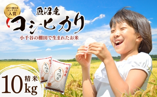 【コシヒカリ 棚田米コンテスト】 令和7年産 魚沼産コシヒカリ 精米10kg(5kg×2袋)｜新潟県産 こしひかり お米 白米 精米したて 寒暖差 雪解け水 甘み 生産者厳選 数量限定 小千谷市 ブランド米【0002-RC02-03】