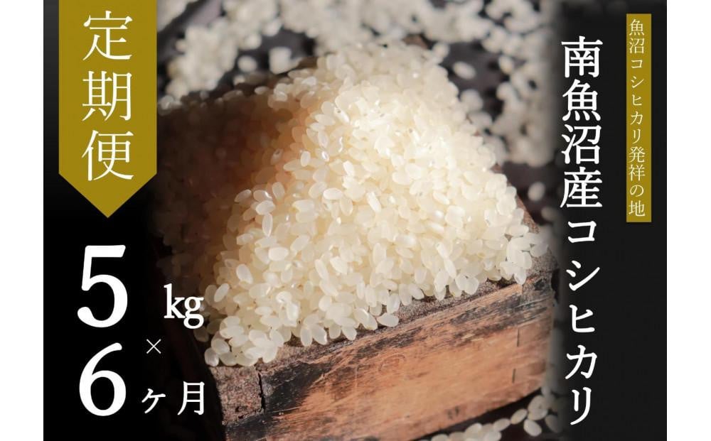 
            【令和7年産新米予約】【定期便・中旬お届け】5kg×6ヶ月　南魚沼産コシヒカリ【2025年10月中旬より順次発送予定】
          