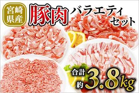 宮崎県産豚肉バラエティセット（バラ、ロースまたは肩ロース、切り落とし、ひき肉）約3.8kg「和豚味彩」