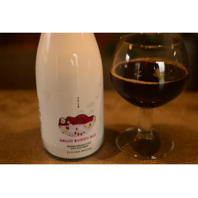 ふるさと納税 伊那市 伊那で醸す、ワイン樽熟成のスペシャルクラフトビール740ml×3本セット