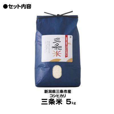 ふるさと納税 三条市 令和7年産米 新潟県三条市産 コシヒカリ 三条米 5kg【010S393】 |  | 03