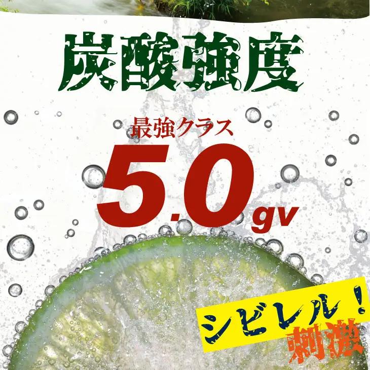 強炭酸水 500ml 24本×1ケース 炭酸 飲料 A060-006
