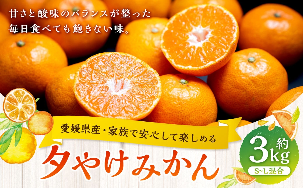 
                  【 愛媛県産 ・ 家族で安心して楽しめる 】 夕やけみかん 約3kg みかん ミカン 柑橘 柑橘系 柑橘類 くだもの 果物 フルーツ 果実 果汁 果肉 国産 【 2026年10月下旬-2027年1月下旬発送予定 】 ( 1102 )
                