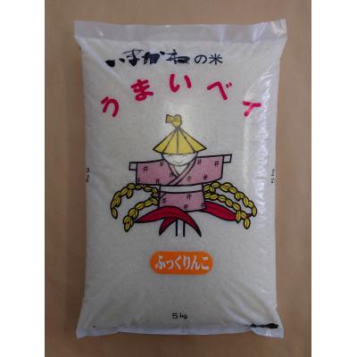 ふるさと納税 今金町 令和7年産 今金産 ふっくりんこ精米  5kg