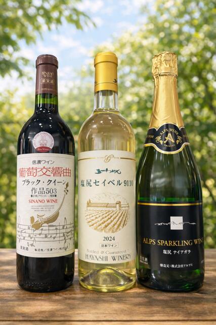 【ふるさと納税】果実味を楽しむ やさしい塩尻体験 フルーティ飲み比べ3本セット | ワイン わいん ワイン 白 赤 スパークリング お酒 おさけ 酒 さけ ナイヤガラ セイベル ブラッククイーン 五一わいん 林農園 信濃ワイン 塩尻市 長野県 信州