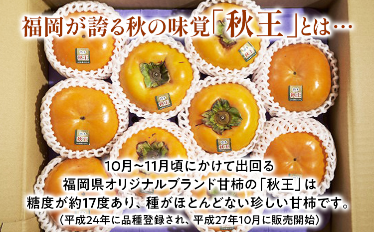 期間限定 福岡県産ブランド柿「秋王」 約3kg（8-12玉）返礼品 お取り寄せグルメ お取り寄せ グルメ カキ かき 果物 フルーツ 南国フルーツ CO012