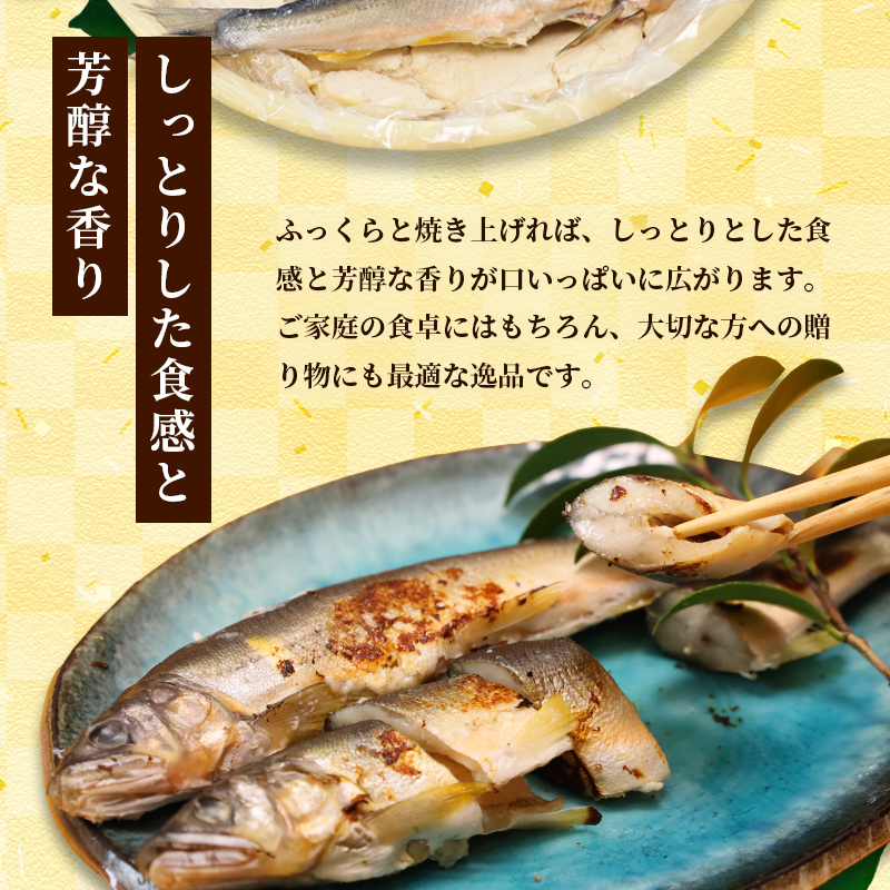 天然鮎の粕漬け 6匹 【 由良川漁協 あゆ 鮎 アユ 魚 魚介 川魚 海鮮 漬け魚 粕漬け 酒粕 天然 大人 贅沢 おつまみ 酒の肴 珍味 舞鶴 京都 】 