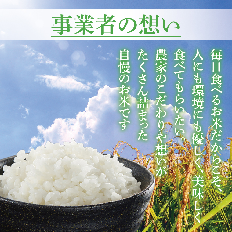 【先行予約】10月中旬から配送【令和7年産新米】コシヒカリ精米5kg【お米 白米 コシヒカリ こしひかり 茨城県産】(72-01)