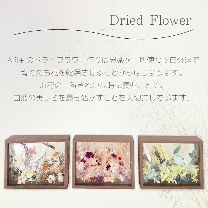 【ARI＋】ドライフラワーフレーム D おまかせ 自宅 インテリア 花 置物 お祝い ギフト 装飾 226004