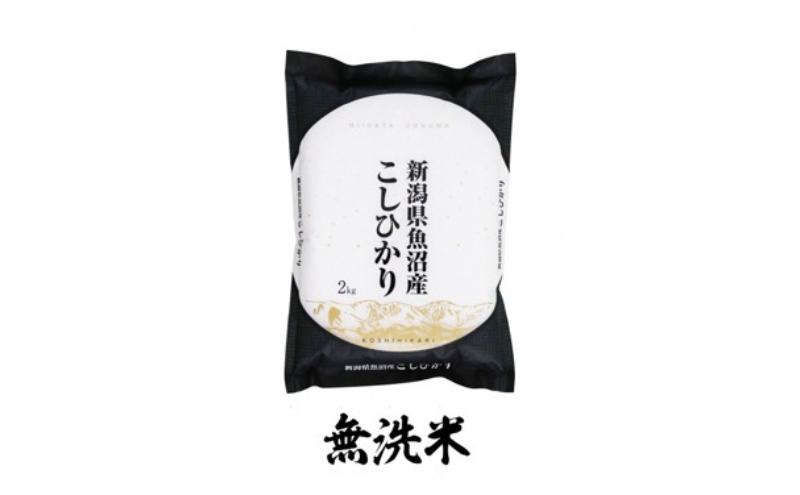 【新米】無洗米　魚沼産コシヒカリ　2kg×全12回　米 コメ こしひかり 精米 ブランド米 お取り寄せ 十日町市