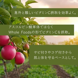 有機アセロラビタミンＣパウダー8500mg（サプリメント） 【170016】