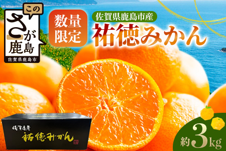 温州みかん 祐徳みかん 約3kg 化粧箱入り 希少 数量限定 《10月下旬～12月頃発送予定》| ブランド 温州みかん 希少 佐賀県 鹿島市 B-100