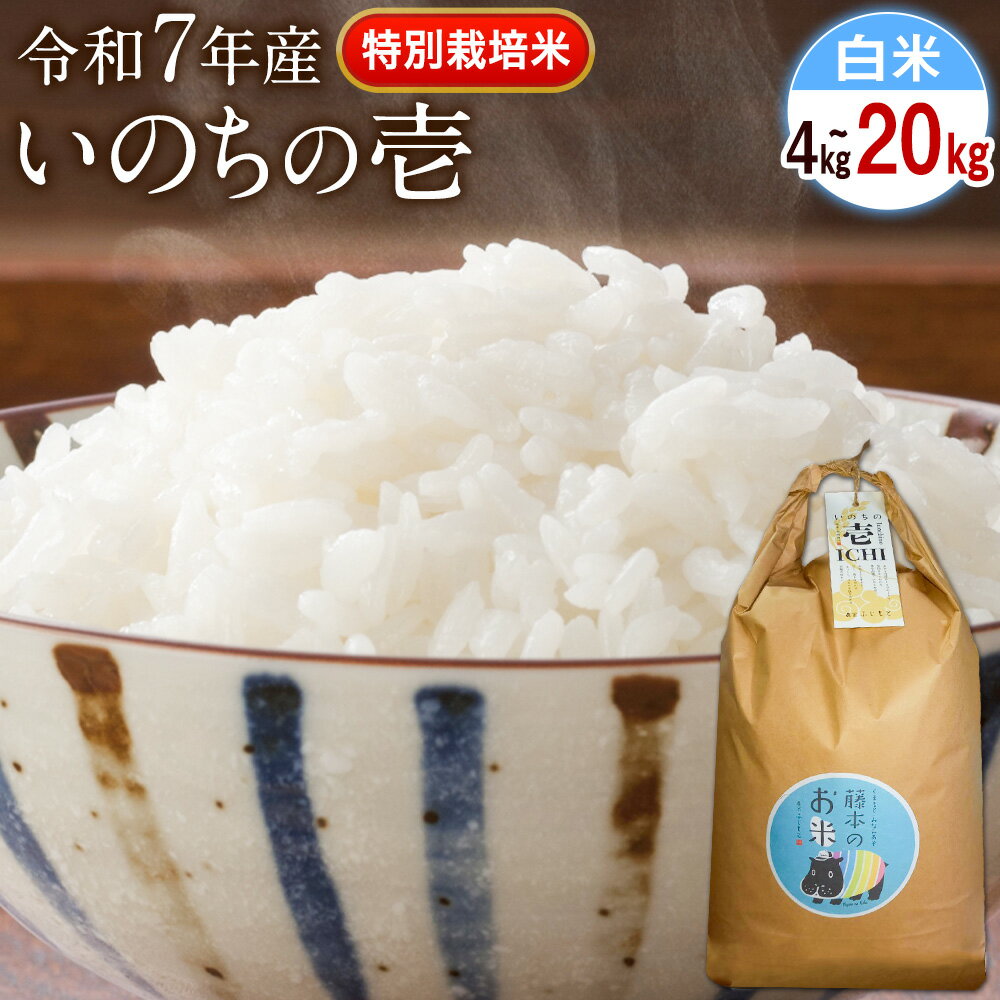 【ふるさと納税】新米 令和7年産 特別栽培米 いのちの壱(白米) 選べる 4kg 5kg 10kg 20kg 雑穀米付き《10月中旬-11月下旬頃出荷》 熊本県 南阿蘇村 熊本県産 虹色のかば 白米