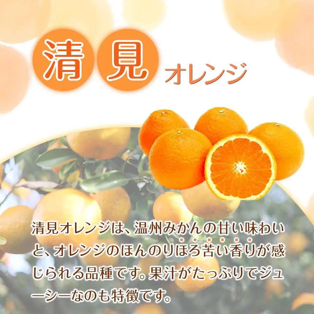 オレンジ 清見オレンジ 約10kg サイズ混合［RN49］