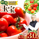 【ふるさと納税】特選ミニトマト 「 玉宝 」 選べる 内容量 1.5kg / 3kg | 野菜 やさい トマト ミニトマト 特選 熊本県 玉名市 送料無料 産地直送