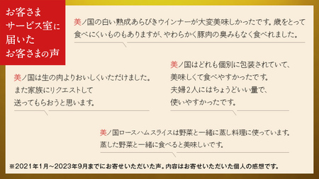 日本ハム 美ノ国 ギフトセットA 肉 にく 贈答 ギフト 詰め合わせ ハム  生ハム ロース ステーキ [AA073ci]	