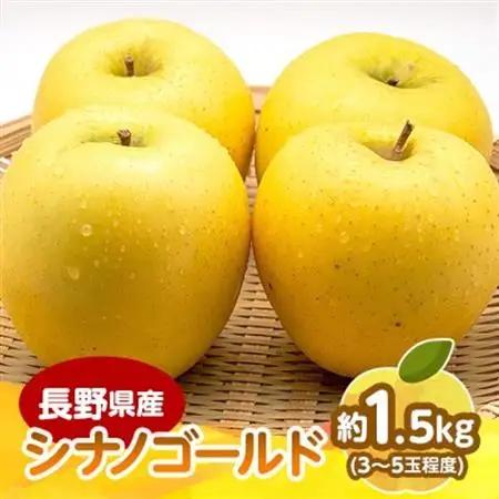 【2025年発送】　長野県産 りんご　シナノゴールド　約1.5kg(3～5玉程度)【1541949】