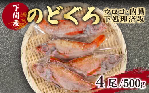 のどぐろ 中 サイズ 4尾 高級 魚 鮮魚 海鮮 冷凍 アカムツ 下処理 済 下関 山口