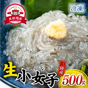 小女子 こうなご 刺身 500g ＼ 刺身 ／