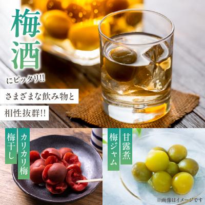 ふるさと納税 都農町 先行受付≪期間限定≫都農町産「鶯宿梅(Mサイズ)」計5kg 梅 梅干し 果物 国産_T008-013 |  | 02