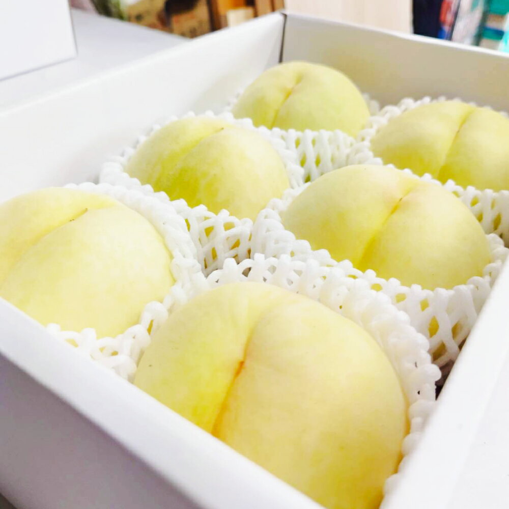 【ふるさと納税】【先行予約】桃 ご家庭用 岡山 白桃 1.5キロ箱 （6玉前後）【もも 桃 白桃 果物 フルーツ 国産 人気 おすすめ 岡山県 倉敷市】 送料無料【2025年6月上旬-8月上旬 発送予定】