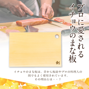 S169-004_イチョウのまな板(穴あきタイプ四角形)Mサイズ