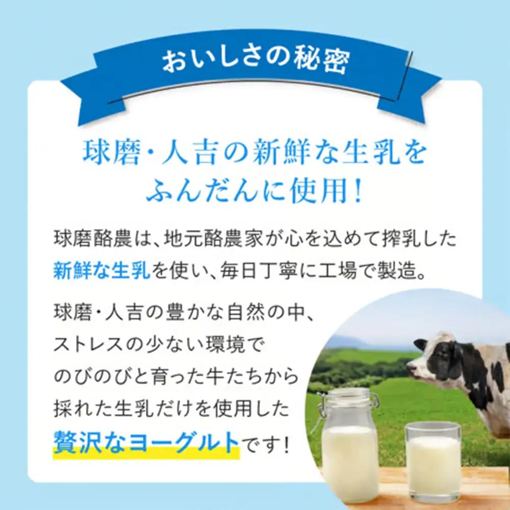 球磨の恵み ヨーグルト 砂糖不使用 6kg まとめ買い 大容量 熊本県 水上村