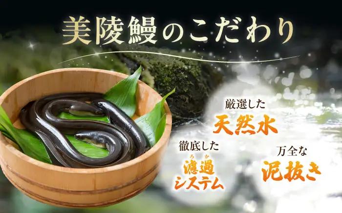 【全6回定期便】鰻 鰻の蒲焼 2尾/ 美陵鰻 鰻 うなぎ ウナギ 蒲焼 蒲焼き かば焼き かばやき 白焼き 白焼 しろやき しらやき 特大 肉厚 うな重 うな丼 ひつまぶし 惣菜 おかず タレ 山椒 