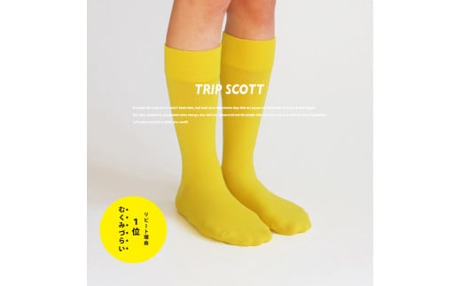 足にやさしい旅の靴下TRIPSCOTT 黄色《25cm〜27cm》 【おしゃれ シンプルで普段使いにも】スタイリッシュで丈夫なソックス 衣類  靴下 くつ下 加茂市 MACHITOKI マチトキ
