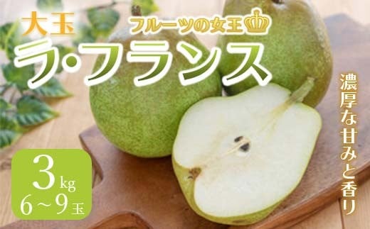 
            《先行予約 2025年度発送》大玉ラ・フランス 約3kg 6~9玉  なし ナシ 梨 デザート フルーツ 果物 くだもの 果実 食品 山形県 FSY-0515
          