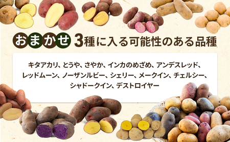 十勝 幕別町産 じゃがいも15kg おまかせ3種(各5kg)【渡邉農場】 [2026年11月出荷開始]【 野菜 いも イモ 芋 じゃがいも ジャガイモ 北海道 十勝 幕別 】