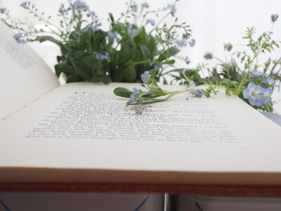 【ANNEREGARD】Pt Forget-me-not Ring  エンゲージリング