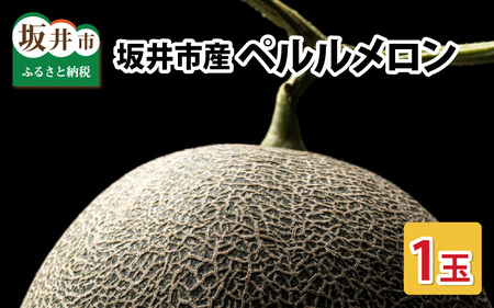 【先行予約】糖度が高くシャキシャキした食感「ペルルメロン」 1玉 坂井市産 果物 【2026年6月下旬以降順次発送予定】 [A-3220]