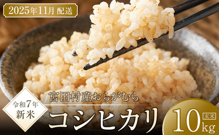 【予約受付】【令和７年米】【新米】長野県宮田村産コシヒカリ／玄米／10kg・23,000円／11月配送（ コシヒカリ ）