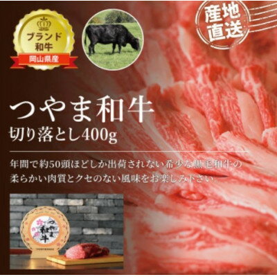 【ふるさと納税】【岡山県産黒毛和牛】つやま和牛切り落とし400g_ 牛肉 和牛切り落とし 肉 牛 にく ニク つやま和牛 黒毛和牛 和牛 切落し 切り落とし 400g 家庭料理 岡山産 煮込み料理 牛丼 すき焼き 国産 岡山県 津山市 送料無料 【配送不可地域：離島】【1402085】
