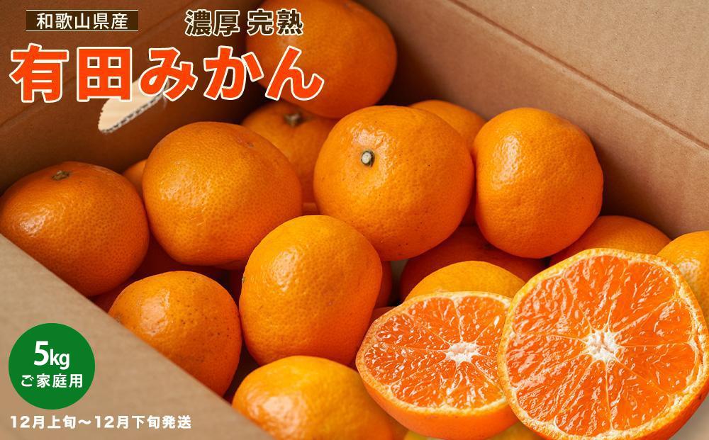 ［先行予約］ご家庭用 完熟 有田みかん 5kg［2026年12月発送予定］訳あり 農家直送［MS31-2］ 303446_XD96098