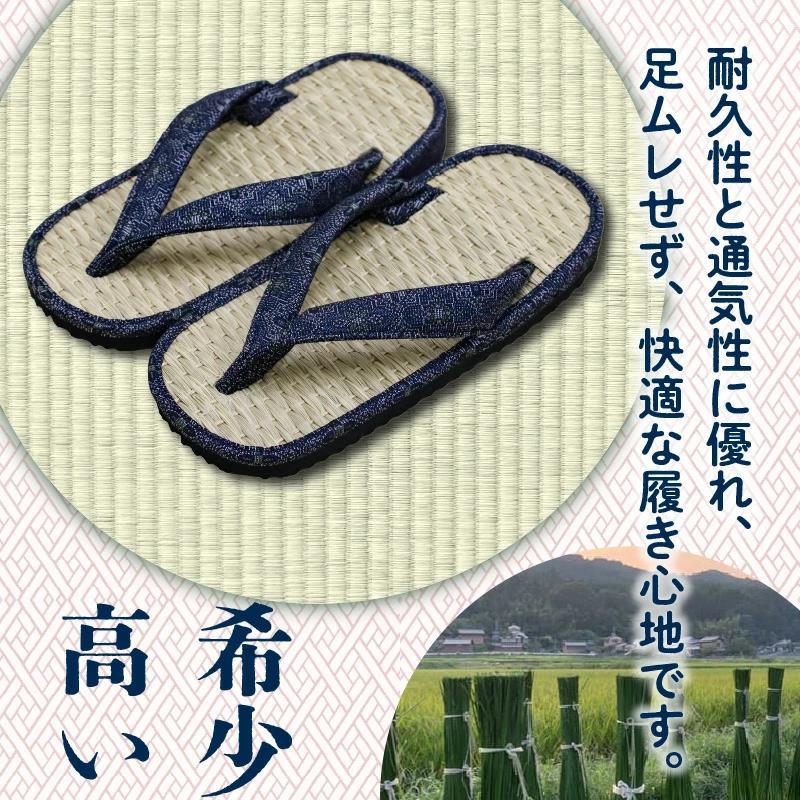 呉服屋さんの七島イ雪駄（男性用フリーサイズ）・通