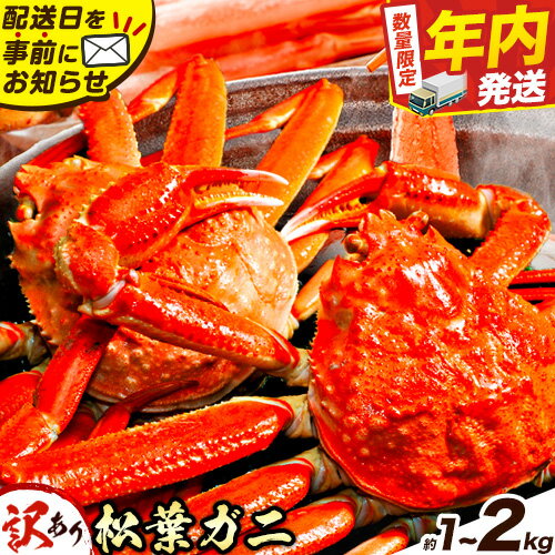 【ふるさと納税】＼12/23決済完了分まで年内配送／訳あり カニ 松葉ガニ 選べる 約1kg 2～3枚 or 約2kg 2～5枚《11月中旬-3月中旬頃出荷》鳥取県 八頭町 送料無料 蟹 かに 姿 鍋 ズワイガニ 松葉ガニ ズワイ蟹 ボイル 冷蔵便 松葉蟹 海鮮 魚介