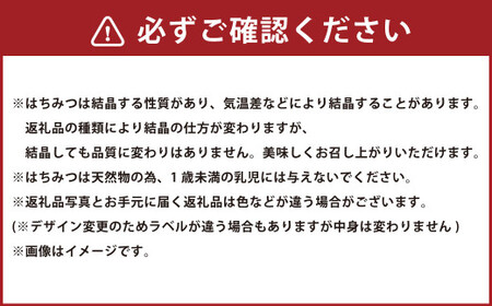 熊本 杉養蜂園 【ゆず蜜×ストロベリー】果汁入り はちみつ 500g 2種 計1kg 食べ比べ 蜂蜜