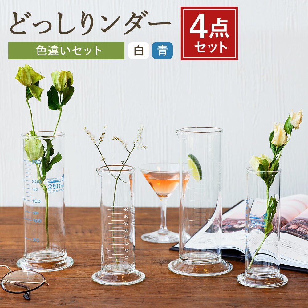 【ふるさと納税】A112 どっしりンダー色違いセット どっしりンダー 100ml 250ml メジャーグラス 100ml 250ml 4点セット 調理器具 理化学雑貨 インテリア グラス 花瓶 雑貨 実験 耐熱ガラス みやま市 福岡県産 国産 送料無料