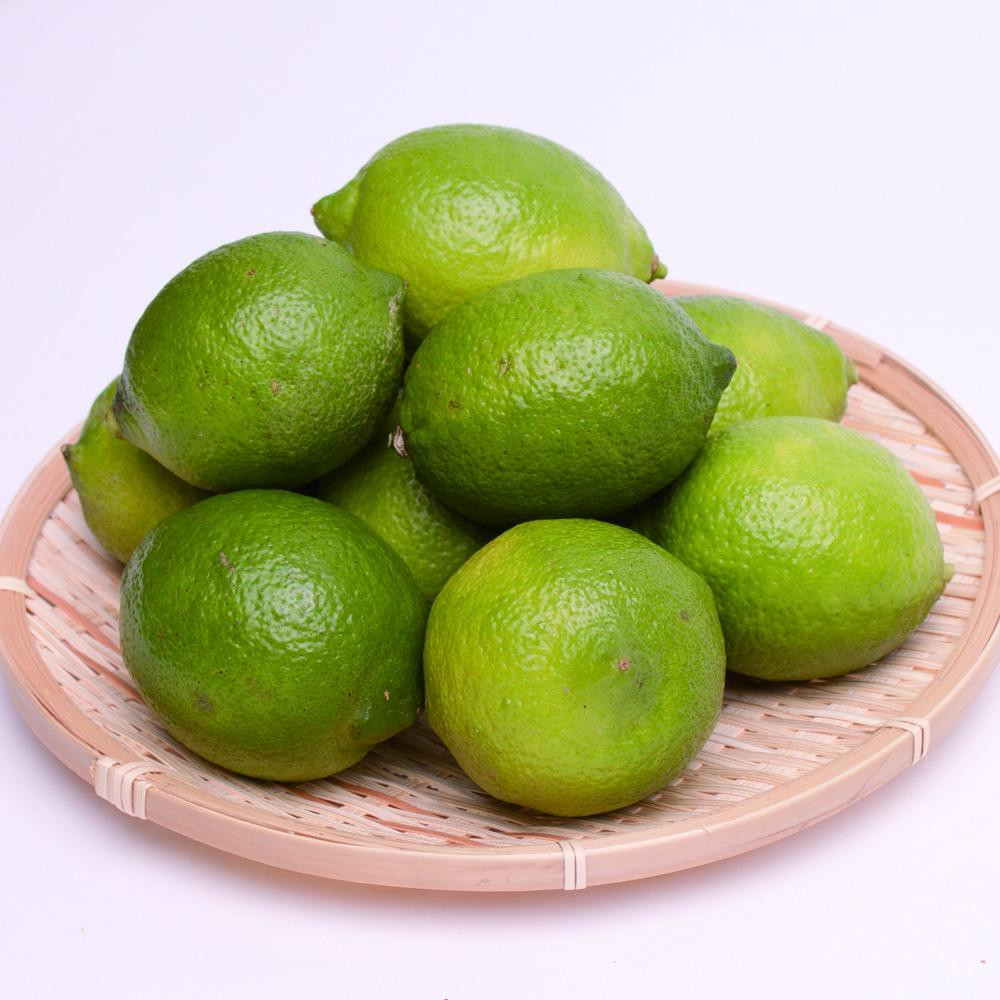 
            レモン1kg+250g（傷み補償分）［和歌山有田産］［防腐剤・WAX不使用、安心の国産レモン］［IKE128］
          