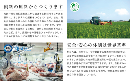 カミチクファーム　黒毛和牛ロースステーキ2枚＜1.5-26＞