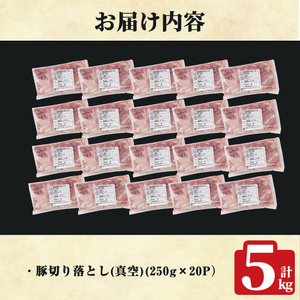 K-618-D 鹿児島県産豚切り落とし 真空パック250g×20P(計5kg)【ハピネス】霧島市 肉 豚肉 豚 精肉 鹿児島県産 切り落とし セット 小分け 冷凍