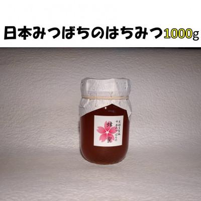 ふるさと納税 多賀城市 史都多賀城日本みつばちの蜂蜜1000g