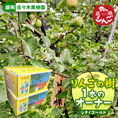【ふるさと納税】先行予約《定期便》佐々木果樹園 乙部角屋 りんごの樹（シナノゴールド）1本のオーナー（収穫したりんご約15kgを2回発送） 盛岡りんご 有機肥料 お付き合い 作業風景 動画 美味しい 　お届け：2025年11月中旬～2025年12月下旬