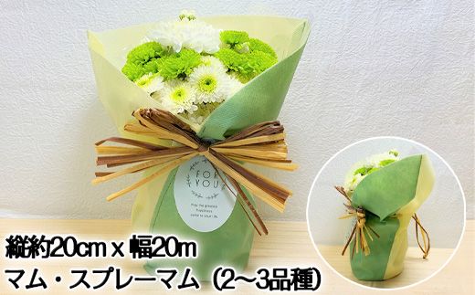 贈り物に そのまま飾れるスタンドマムブーケ cool green(グリーン系) 水替え不要 生花 お花 お祝 記念日 プレゼント「2023年 令和5年」